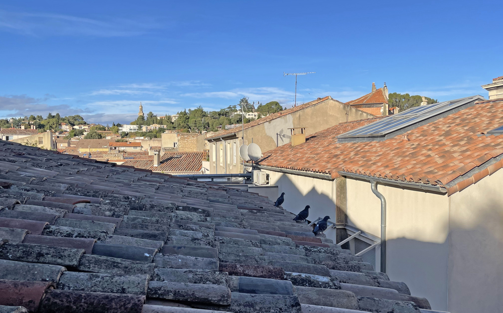 Image_, Appartement, Nîmes, ref :124